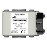 Быстродействующий предохранитель Cooper Bussmann 170M5406, 660V 250.0A, AR 2BKN/50