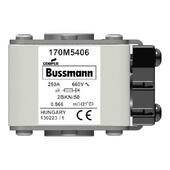 Быстродействующий предохранитель Cooper Bussmann 170M5406, 660V 250.0A, AR 2BKN/50